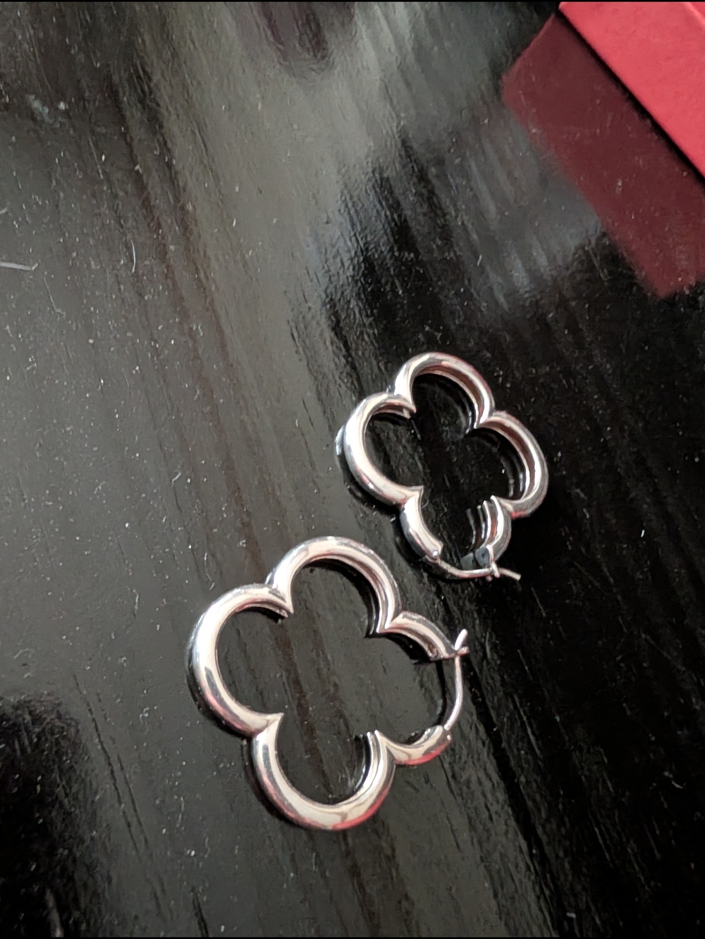 Heidi Klum Silver Hoop Earrings